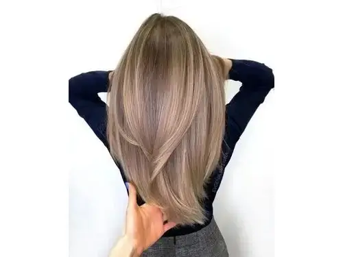Straight Chic Layers Hairstyle