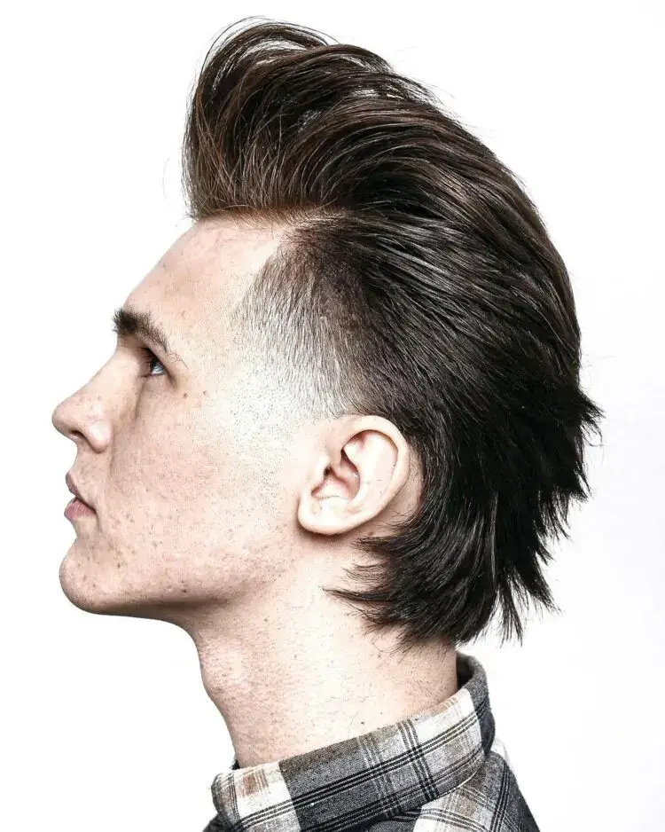 High Pompadour with Long Back haircut