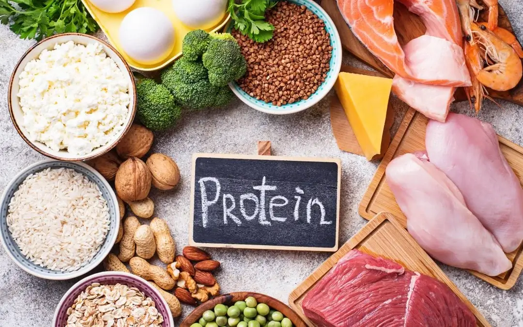 High Protein Foods List