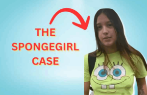 Der Fall Spongegirl: Entdecken Sie die Tiefe der Informationen